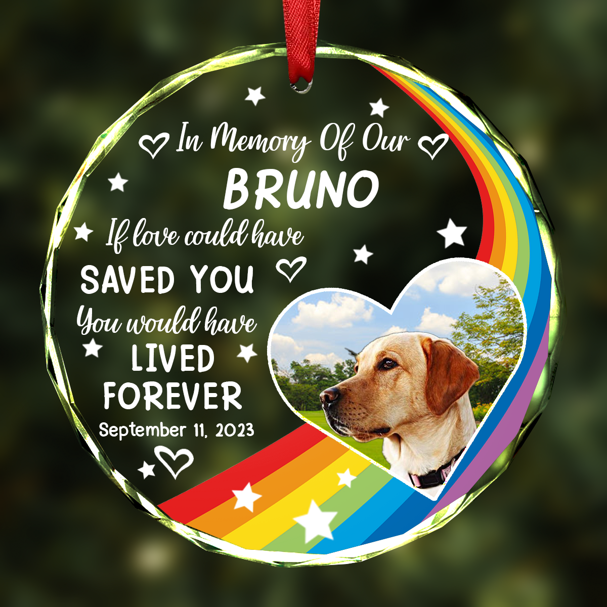 Custom Photo In Loving Memory Memorial Pet Lovers - Personalized Circle Acrylic Ornament