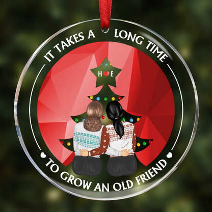 It Takes A Long Time Grow An Old Friend Bestie - Personalized Ornament