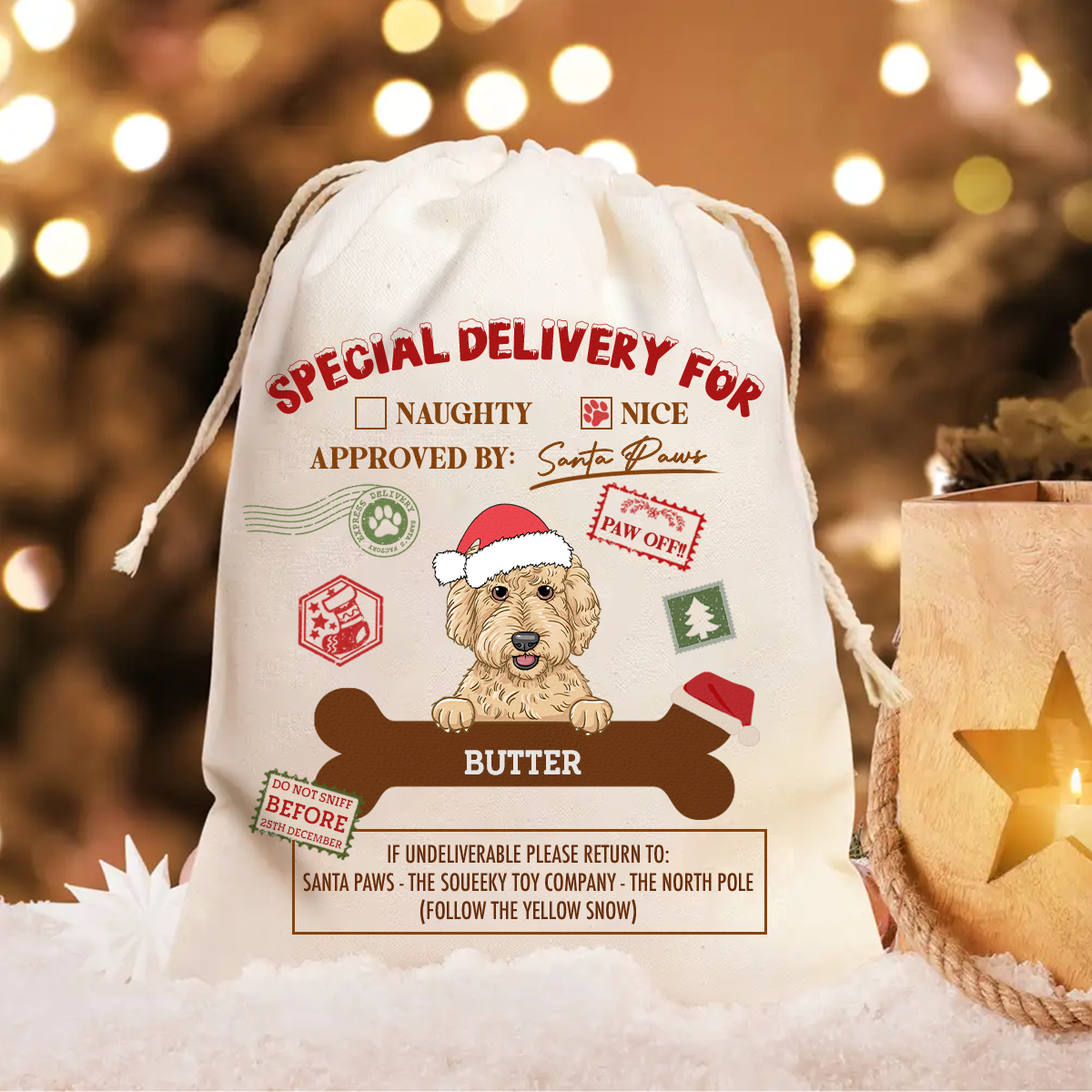 Special Delivery From Santa Paws - Personalized Favor Bag