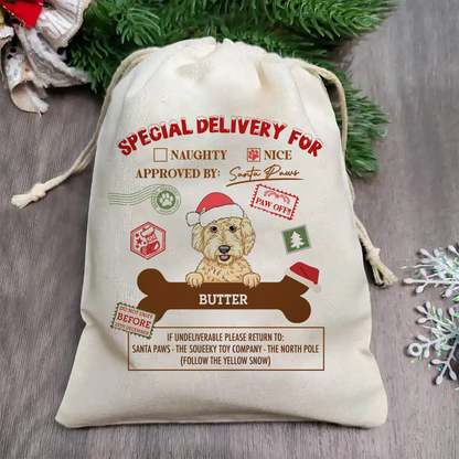 Special Delivery From Santa Paws - Personalized Favor Bag