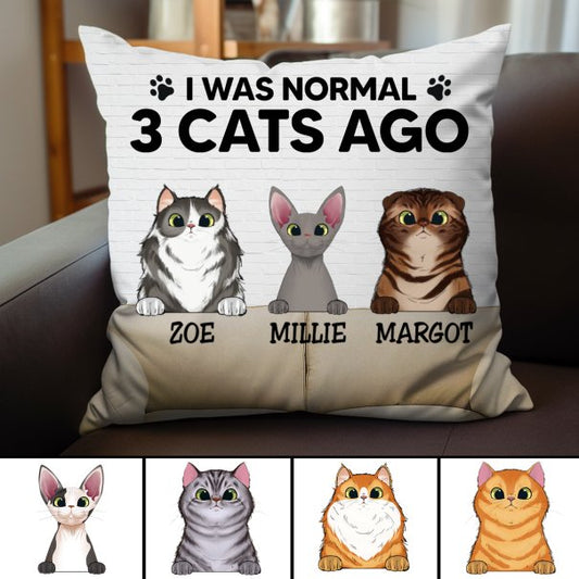 Cat Lovers - I Was Normal With My Cats - Personalized Pillow (BU) - Makezbright Gifts